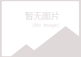 鹤岗东山迷茫水泥有限公司